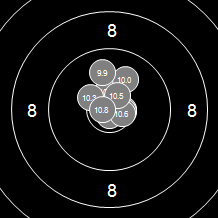 Target Image