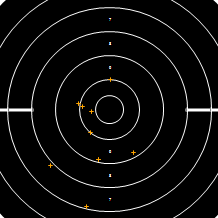 Target Image
