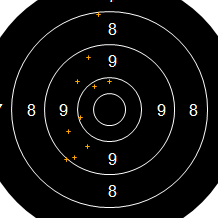 Target Image