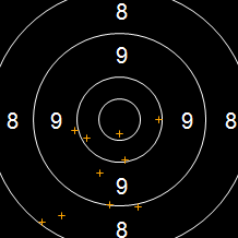 Target Image