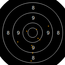 Target Image