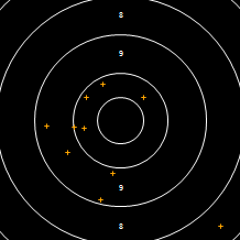 Target Image
