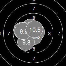 Target Image