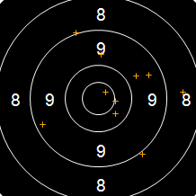 Target Image