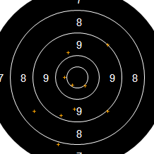 Target Image