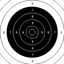 Target Image