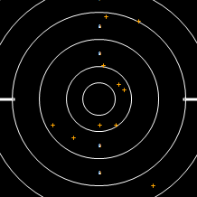 Target Image