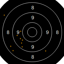 Target Image