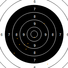 Target Image