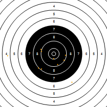 Target Image