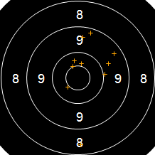 Target Image