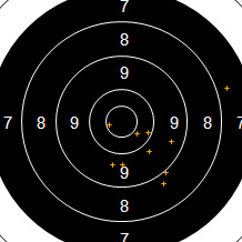 Target Image