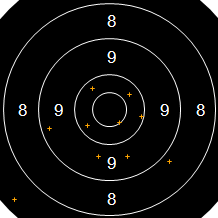 Target Image