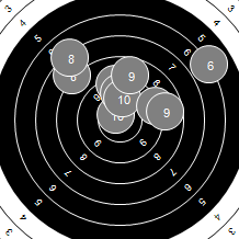 Target Image
