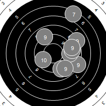 Target Image
