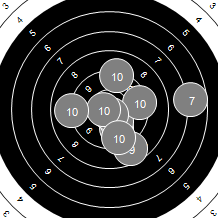 Target Image