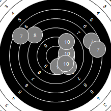 Target Image