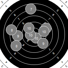 Target Image