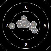 Target Image