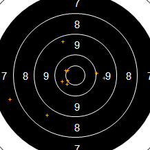 Target Image