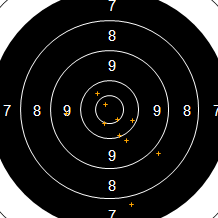 Target Image