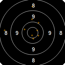 Target Image