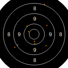 Target Image