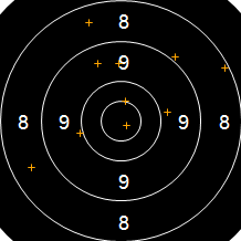 Target Image