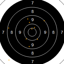 Target Image