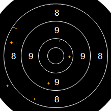 Target Image