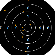 Target Image