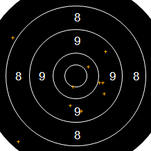 Target Image