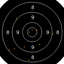Target Image