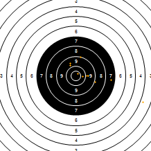 Target Image