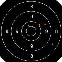 Target Image