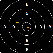 Target Image