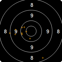 Target Image