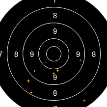 Target Image
