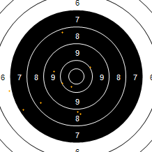 Target Image
