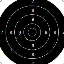 Target Image