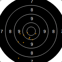 Target Image