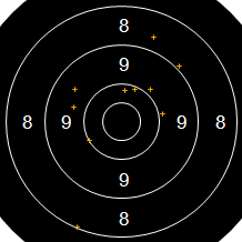 Target Image