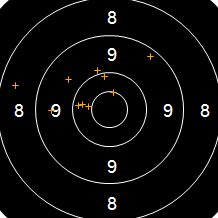 Target Image