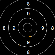 Target Image