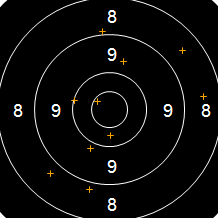 Target Image