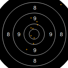 Target Image