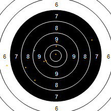 Target Image