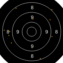 Target Image