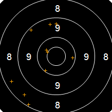 Target Image