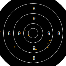 Target Image